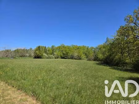 vente terrain à bétaille (46110) : à vendre / 3131m² bétaille
