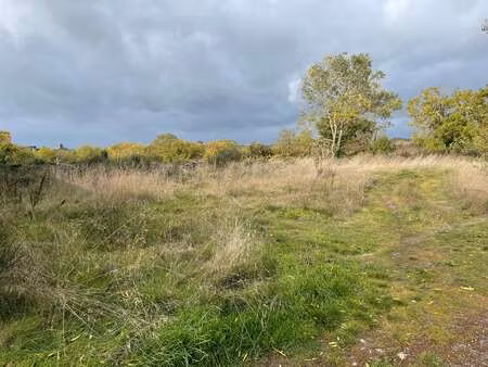 vente terrain à denée (49190) : à vendre / denée