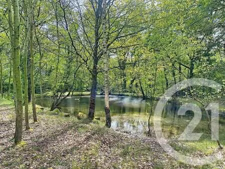 vente terrain à dingé (35440) : à vendre / 5350m² dingé