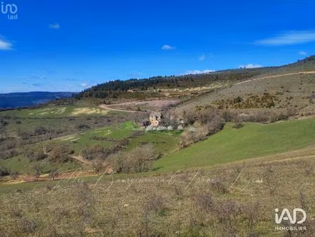 vente maison 16 pièces 415 m² bédouès-cocurès (48400)