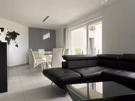 appartement meublé 1 ch avec terrasse  cave et parking !