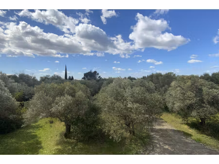 annonce terrain à vendre