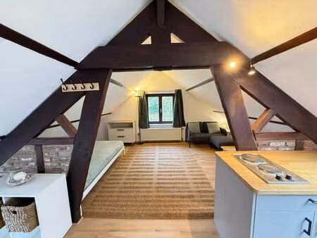 studio meublé bail court