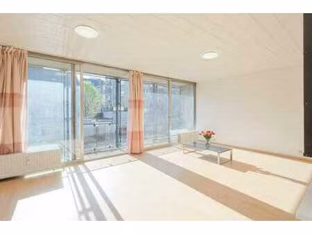 parc elisabeth/basilique - appartement 3ch. avec terrasse.