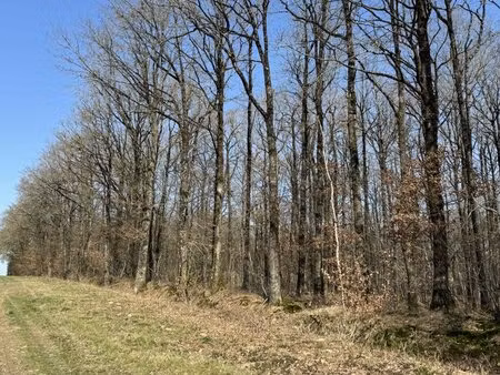 à vendre propriété forestière de 78 ha indre (36)