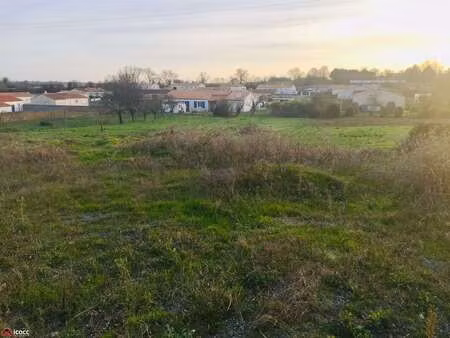 vente terrain à bessay (85320) : à vendre / 2196m² bessay