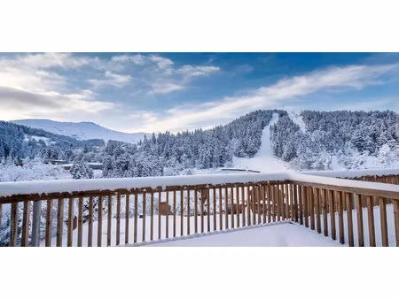 vente appartement 3 pièces à laveissière (15300)  199 000 €