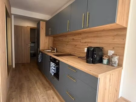 appartement t1 neuf meublé hyper centre clim