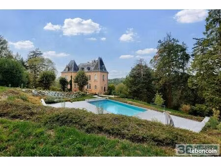 château 480 m² perpezac-le-blanc