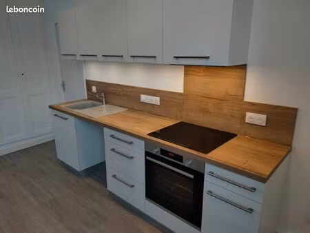 appartement t3 standing plein centre garage