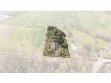 maison spacieuse sur terrain verdoyant à buggenhout