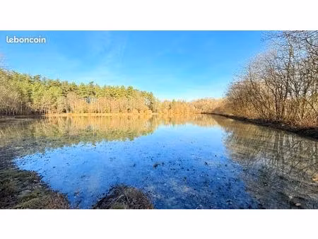loue terrain de loisir plus de 4ha avec etang tout évènements