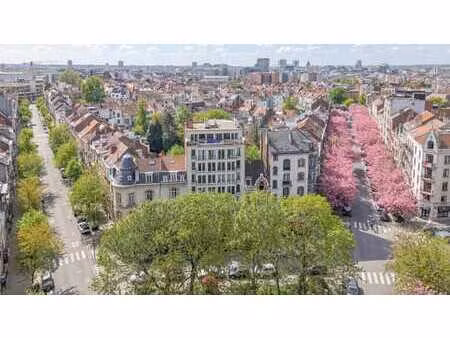 quartier plasky / appartement 1ch meublé avec terasse s-o