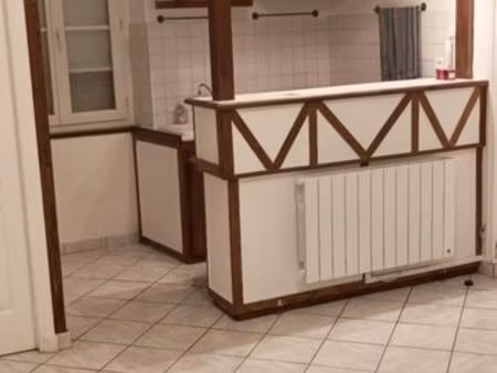 appartement avec cour privative  centre ville