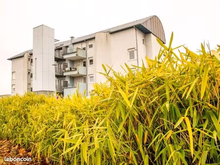 appartement 3 pièces 69 m²