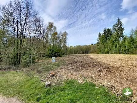 belle parcelle forestière avec une vue imprenable
