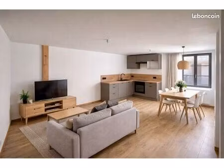 appartement entierement rénové état neuf 3 pièces