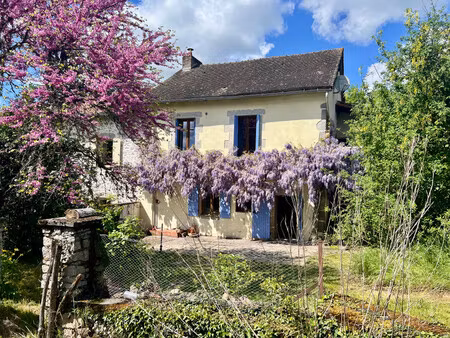 maison à vendre à saint-barthélemy-de-bussière (24360) - dordogne