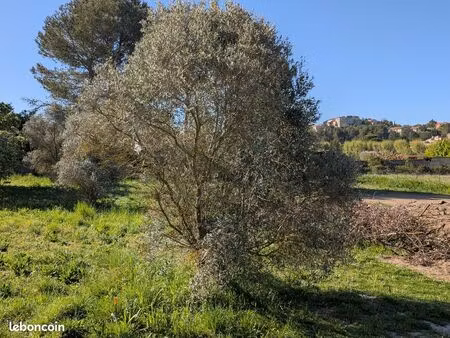 terrain constructible cabriès