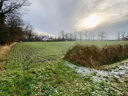 terrain à vendre à berendrecht € 515.000 (lnb7u) - coenen vastgoed | zimmo