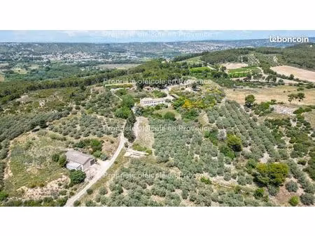 mas et domaine oléicole