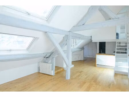 appartement duplex paris centre 55 m2