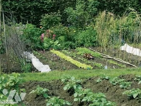 terrain 1802 m² segre