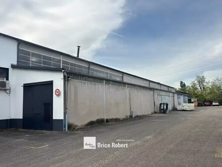 vente local d’activités rillieux la pape 69140 483m² à 966m²