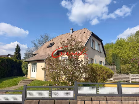 secteur zillisheim   maison de 100 m2 sur 6a10 et sa piscine