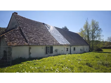 longère à rénover sur près d'un hectare