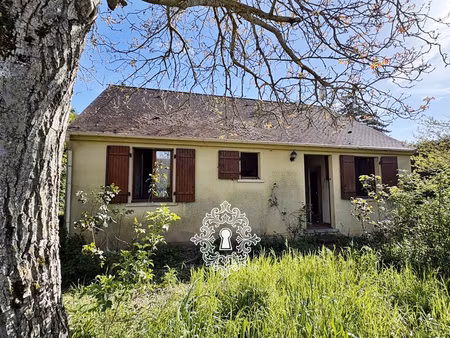 région bray sur seine