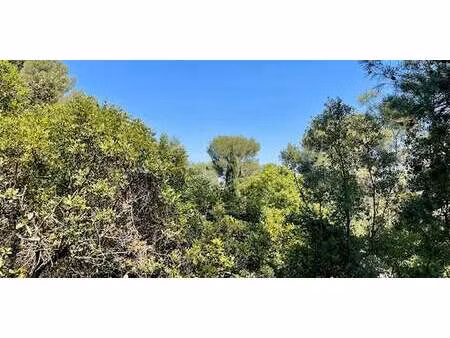 terrain castelnau-le-lez (34)