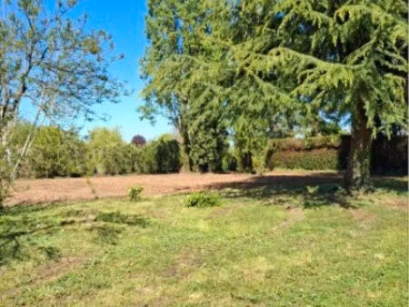 terrain constructible