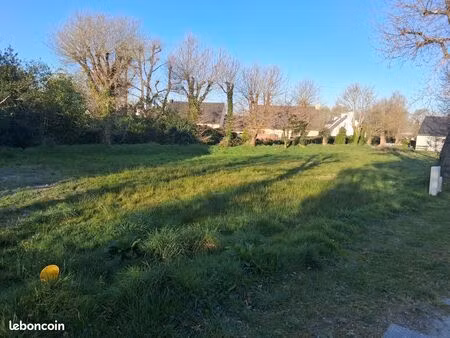 terrain la trinite surzur