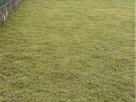 terrain constructible