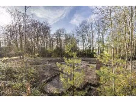 terrain exclusif à 2 839 dans la forêt verdoyante de bellege