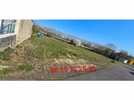 terrain zone naturelle