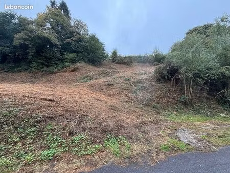 grand terrain viabilisé centre ville