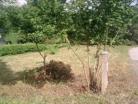 terrain constructible