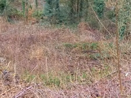 location terrain spécial apiculteur villerupt centre