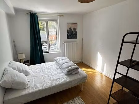 superbe t2 meublé rénové – lumineux – proche nancy & canal