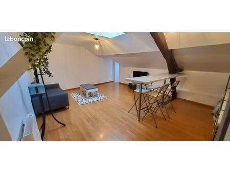 t2 meublé 42m2 hypercentre