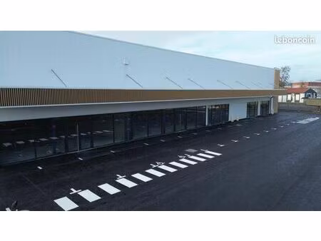 local d'activité 999 m²