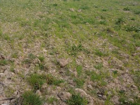 terrain a construire