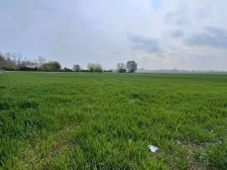 terrain 776 m² eringhem