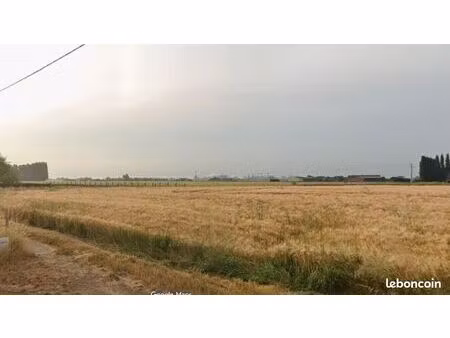 terrain 950 m² merville