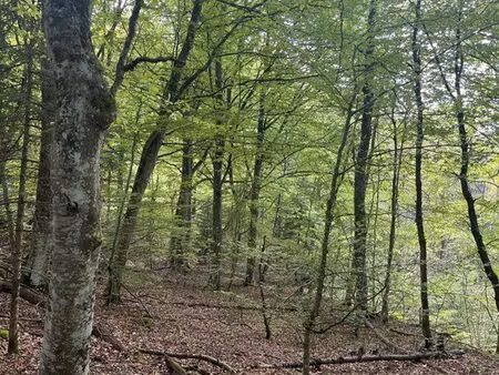 vente / échange / achat