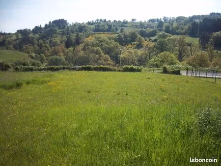 terrain 1750 m² saint-dier-d'auvergne
