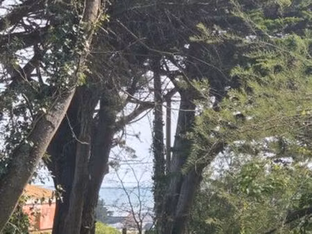 terrain 300 m² sarzeau