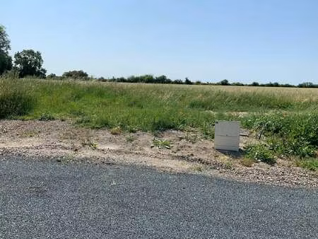 vente terrain à grues (85580) : à vendre / grues